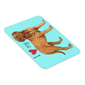 Magnet Flexible I Love my Dogue de Bordeaux (Côté Droit)