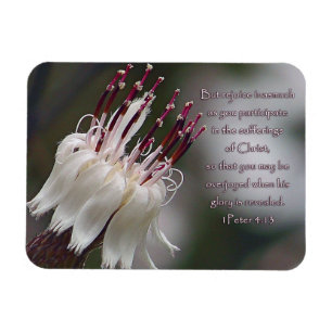 Magnet Flexible I Pierre 4:13 Inspirationnel Floral