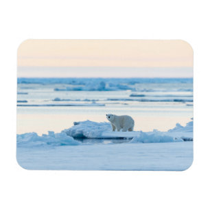 Magnet Flexible Ice & Snow   Polar Bear Iceberg Norway