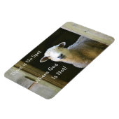 Magnet Flexible Il N'Y A Aucun Endroit Où Dieu N'Est Pas Mouton (Côté Gauche)