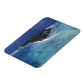 Magnet Flexible Île (Côté Gauche)