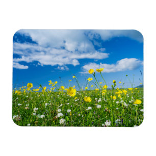 Magnet Flexible île de South Uist   Écosse