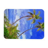 Magnet Flexible Île tropicale Coconut Palm Tree Dance (Horizontal)