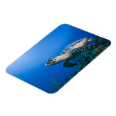 Magnet Flexible Iles Cayman, Île Little Cayman, Sous-marin 2 (Côté Gauche)