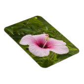 Magnet Flexible Îles Cook, Atiu. Fleur d'hibiscus. (Côté Droit)