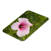 Magnet Flexible Îles Cook, Atiu. Fleur d'hibiscus. (Côté Gauche)