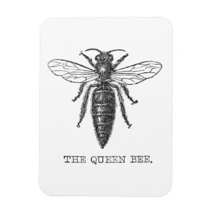 Magnet Flexible Illustration Antique d'Insecte de Bourdon Reine Ab