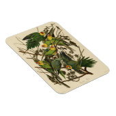 Magnet Flexible Illustration Audubon Carolina Parrot Bird (Côté Droit)