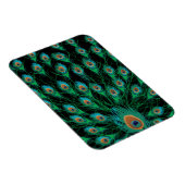 Magnet Flexible Illustration avec plumes de paon sur noir (Côté Droit)