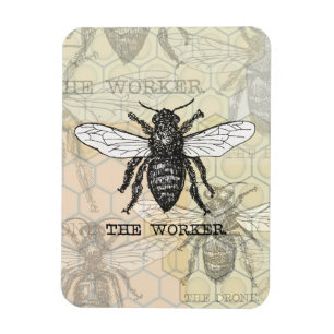 Magnet Flexible Illustration d'abeille ouvrière vintage