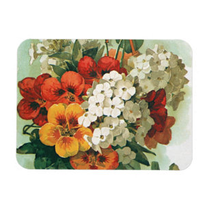 Magnet Flexible Illustration de couverture du catalogue de graines