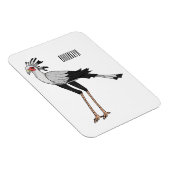 Magnet Flexible Illustration de dessin du secrétaire pour oiseaux (Côté Droit)