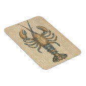 Magnet Flexible Illustration de homard, fruits de mer du Maine (Côté Droit)