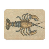 Magnet Flexible Illustration de homard, fruits de mer du Maine (Horizontal)