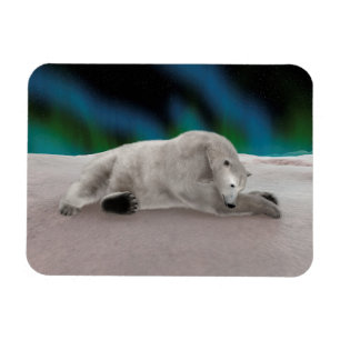 Magnet Flexible Illustration de la nature arctique de l'ours polai