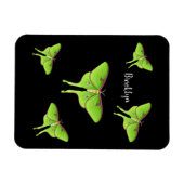 Magnet Flexible Illustration de Luna Moth (Horizontal)