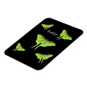 Magnet Flexible Illustration de Luna Moth (Côté Gauche)