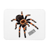Magnet Flexible Illustration de Tarantula (Horizontal)