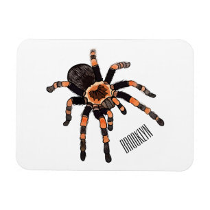 Magnet Flexible Illustration de Tarantula