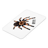 Magnet Flexible Illustration de Tarantula (Côté Gauche)