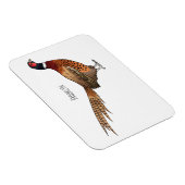 Magnet Flexible Illustration d'oiseau faisan à cou circulaire (Côté Droit)