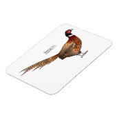Magnet Flexible Illustration d'oiseau faisan à cou circulaire (Côté Gauche)