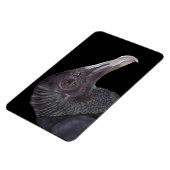 Magnet Flexible Illustration du vautour noir (Côté Gauche)