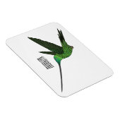 Magnet Flexible Illustration d'un colibri à bec épée (Côté Droit)