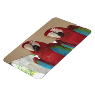 Magnet Flexible Illustration tropicale d'ara rouge
