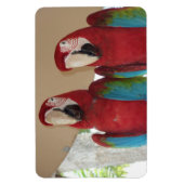 Magnet Flexible Illustration tropicale d'ara rouge (Vertical)