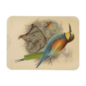 Magnet Flexible Illustration vintage de l'Abeille européenne (Horizontal)