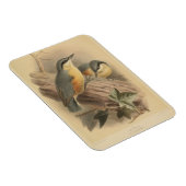Magnet Flexible Illustration vintage de Nuthatch (Côté Droit)