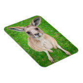 Magnet Flexible Images Getty | Baby Kangaroo (Côté Droit)