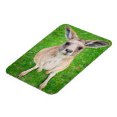 Magnet Flexible Images Getty | Baby Kangaroo (Côté Gauche)