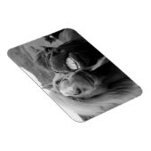 Magnet Flexible Images Getty | Chevaux souriants (Côté Droit)