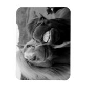 Magnet Flexible Images Getty | Chevaux souriants (Vertical)