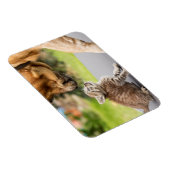 Magnet Flexible Images Getty | Chien et chat en amour (Côté Droit)