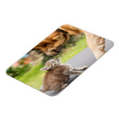 Magnet Flexible Images Getty | Chien et chat en amour (Côté Gauche)