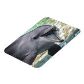 Magnet Flexible Images Getty | Dauphin (Côté Gauche)