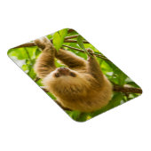 Magnet Flexible Images Getty | Derrière (Côté Droit)