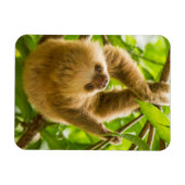 Magnet Flexible Images Getty | Derrière (Horizontal)