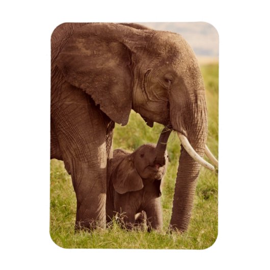 Magnet Flexible Images Getty | Elephant & bébé (Vertical)