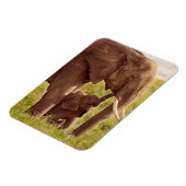 Magnet Flexible Images Getty | Elephant & bébé (Côté Gauche)