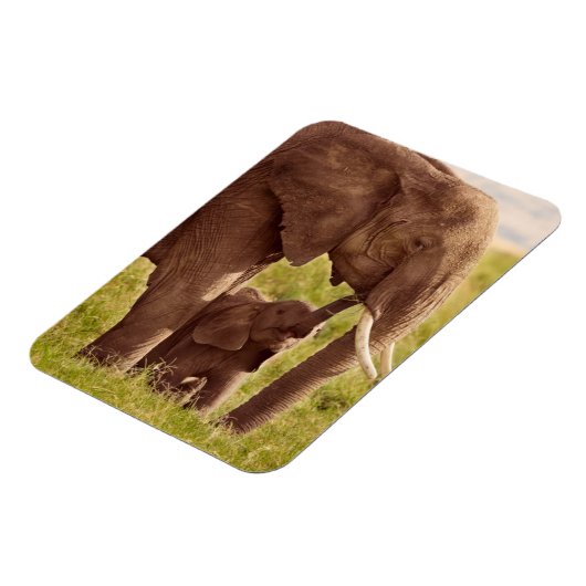 Magnet Flexible Images Getty | Elephant & bébé (Côté Gauche)