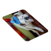 Magnet Flexible Images Getty | Sick Young Puppy (Côté Droit)