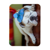 Magnet Flexible Images Getty | Sick Young Puppy (Vertical)
