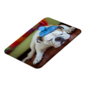 Magnet Flexible Images Getty | Sick Young Puppy (Côté Gauche)
