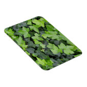 Magnet Flexible Impression botanique verte Ivy (Côté Droit)