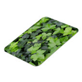 Magnet Flexible Impression botanique verte Ivy (Côté Gauche)