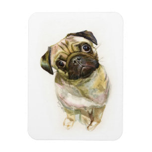 Magnet Flexible Impression carlin face   Chien de Carlin mignon